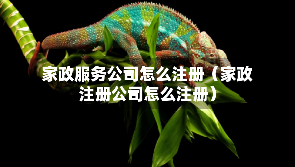 家政服务公司怎么注册（家政注册公司怎么注册）