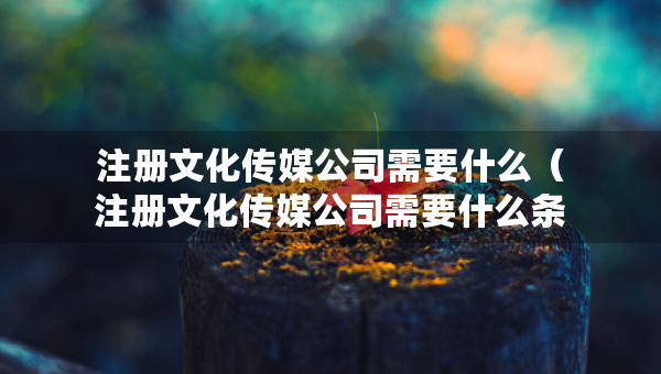 注册文化传媒公司需要什么（注册文化传媒公司需要什么条件）
