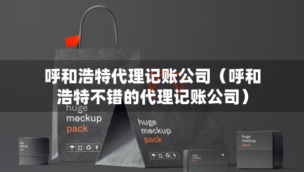 呼和浩特代理记账公司（呼和浩特不错的代理记账公司）