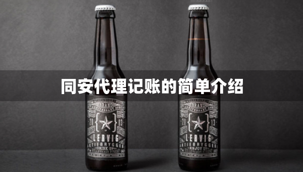 同安代理记账的简单介绍