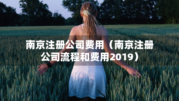 南京注册公司费用（南京注册公司流程和费用2019）