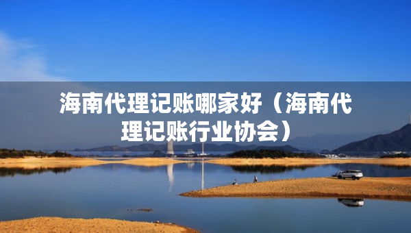 海南代理记账哪家好（海南代理记账行业协会）