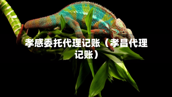 孝感委托代理记账（孝昌代理记账）