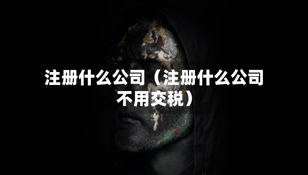 注册什么公司（注册什么公司不用交税）