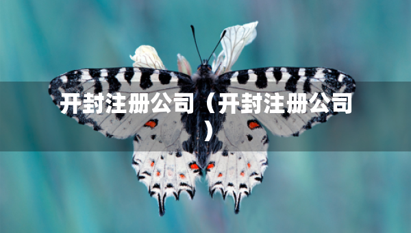 开封注册公司（开封注册公司）
