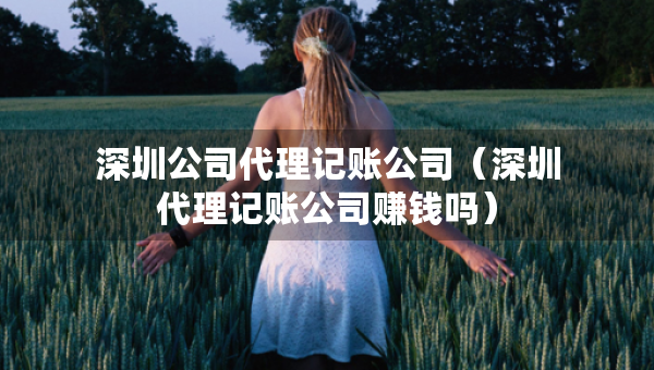 深圳公司代理记账公司（深圳代理记账公司赚钱吗）