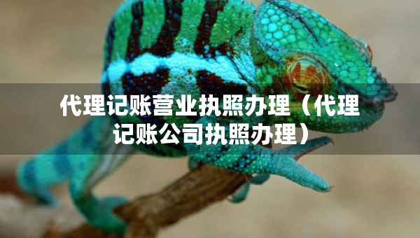 代理记账营业执照办理（代理记账公司执照办理）