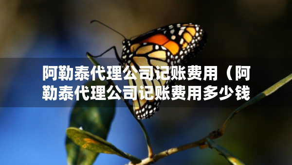 阿勒泰代理公司记账费用（阿勒泰代理公司记账费用多少钱）
