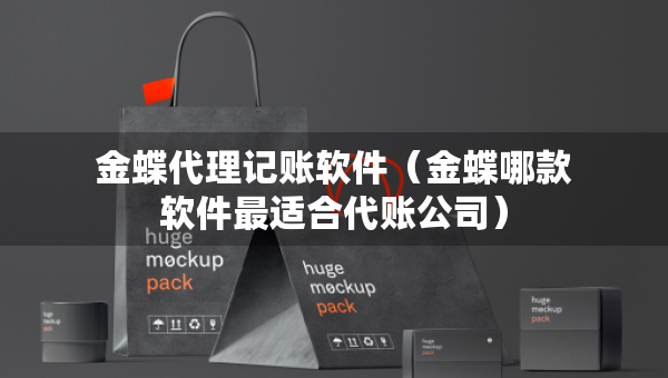 金蝶代理记账软件（金蝶哪款软件最适合代账公司）