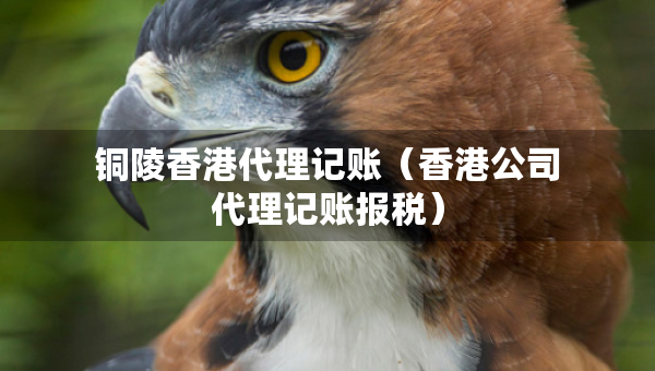铜陵香港代理记账（香港公司代理记账报税）