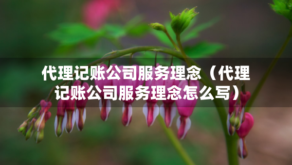 代理记账公司服务理念（代理记账公司服务理念怎么写）