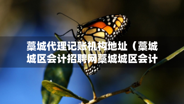 藁城代理记账机构地址（藁城城区会计招聘网藁城城区会计师招聘信息）