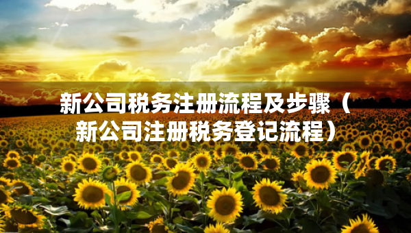 新公司税务注册流程及步骤（新公司注册税务登记流程）