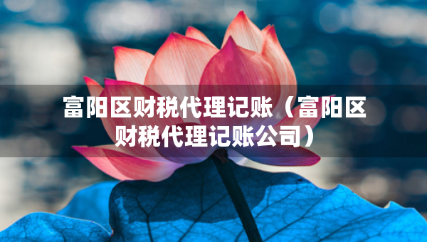 富阳区财税代理记账（富阳区财税代理记账公司）