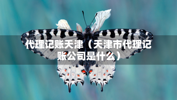 代理记账天津（天津市代理记账公司是什么）