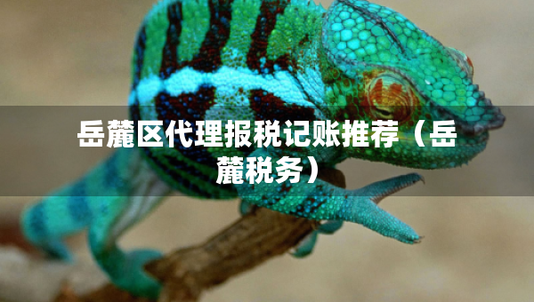 岳麓区代理报税记账推荐（岳麓税务）