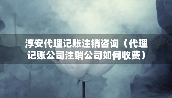 淳安代理记账注销咨询（代理记账公司注销公司如何收费）