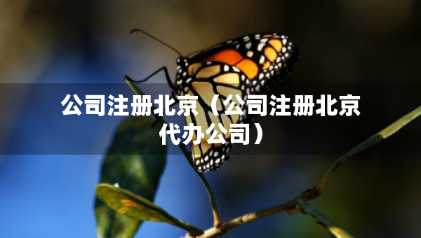 公司注册北京（公司注册北京代办公司）