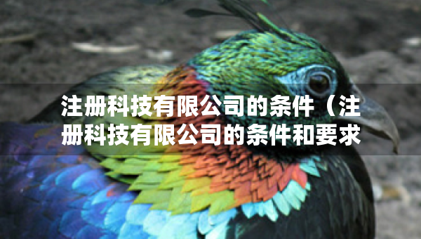 注册科技有限公司的条件（注册科技有限公司的条件和要求）