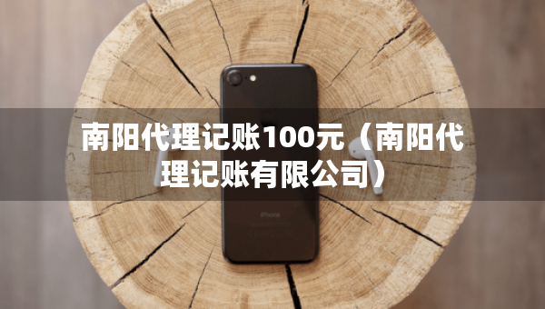 南阳代理记账100元（南阳代理记账有限公司）