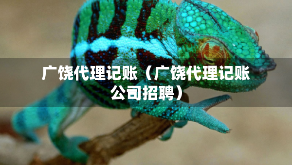 广饶代理记账（广饶代理记账公司招聘）
