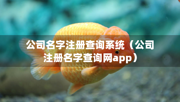公司名字注册查询系统（公司注册名字查询网app）