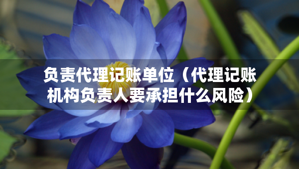 负责代理记账单位（代理记账机构负责人要承担什么风险）