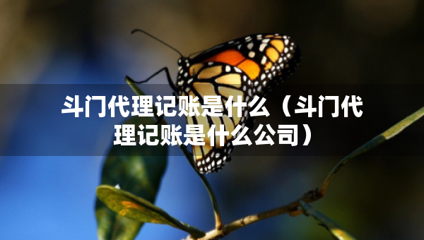 斗门代理记账是什么（斗门代理记账是什么公司）