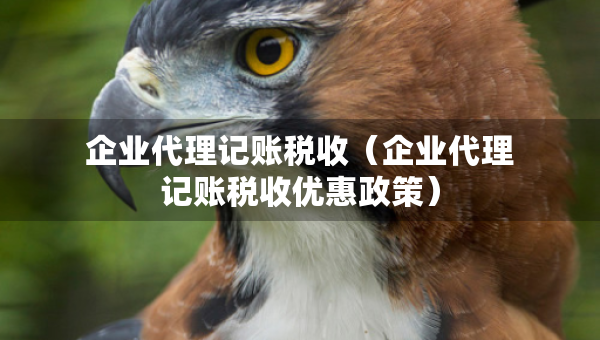 企业代理记账税收（企业代理记账税收优惠政策）
