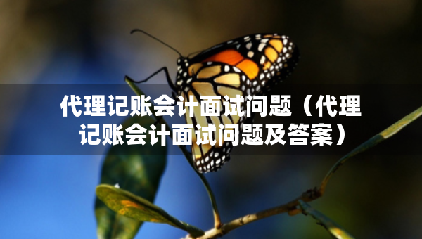 代理记账会计面试问题（代理记账会计面试问题及答案）