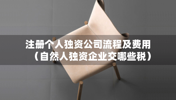 注册个人独资公司流程及费用（自然人独资企业交哪些税）