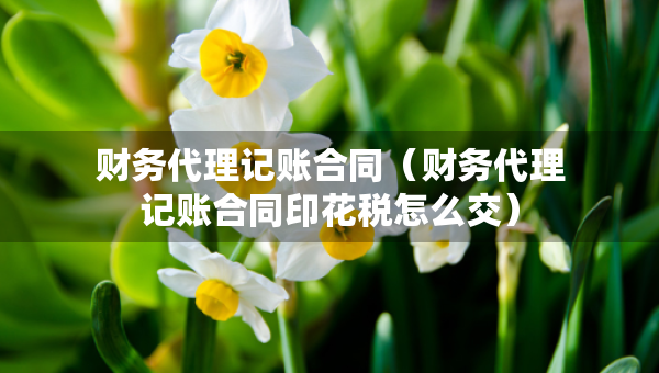 财务代理记账合同（财务代理记账合同印花税怎么交）
