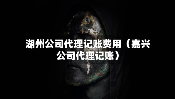 湖州公司代理记账费用（嘉兴公司代理记账）