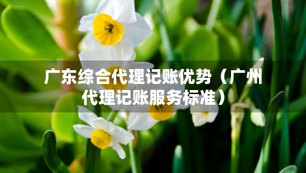 广东综合代理记账优势（广州代理记账服务标准）