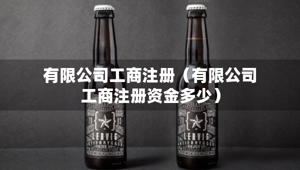 有限公司工商注册（有限公司工商注册资金多少）