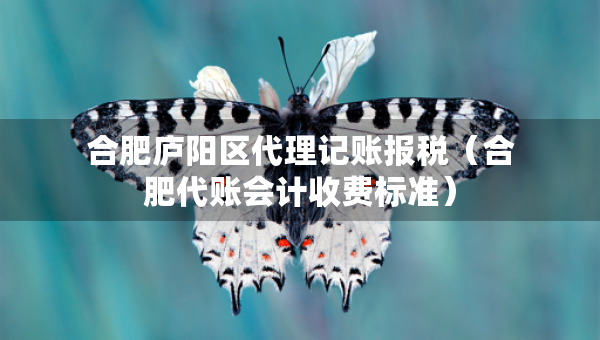 合肥庐阳区代理记账报税（合肥代账会计收费标准）