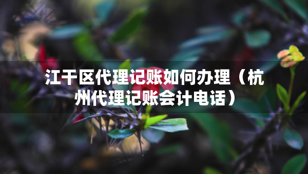 江干区代理记账如何办理（杭州代理记账会计电话）