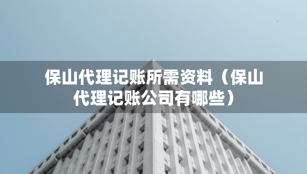 保山代理记账所需资料（保山代理记账公司有哪些）
