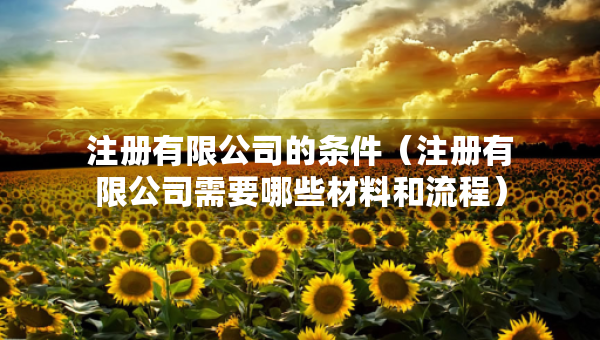 注册有限公司的条件（注册有限公司需要哪些材料和流程）