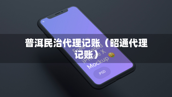 普洱民治代理记账（昭通代理记账）