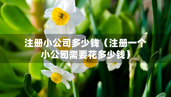 注册小公司多少钱（注册一个小公司需要花多少钱）
