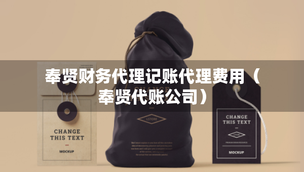奉贤财务代理记账代理费用（奉贤代账公司）
