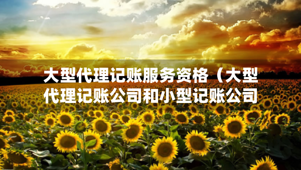 大型代理记账服务资格（大型代理记账公司和小型记账公司哪个值得去）
