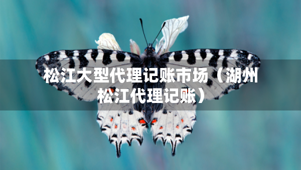 松江大型代理记账市场（湖州松江代理记账）