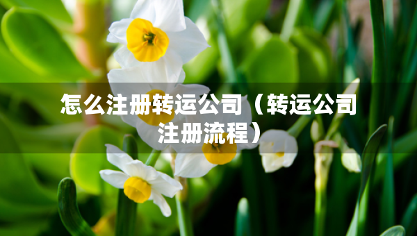 怎么注册转运公司（转运公司注册流程）