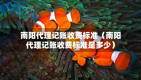南阳代理记账收费标准（南阳代理记账收费标准是多少）