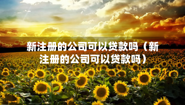 新注册的公司可以贷款吗（新注册的公司可以贷款吗）