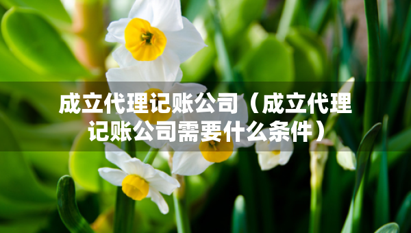 成立代理记账公司（成立代理记账公司需要什么条件）