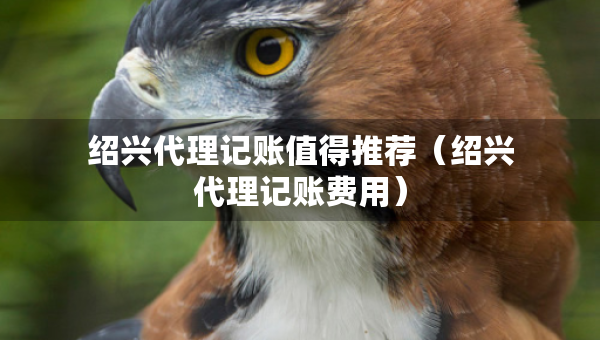 绍兴代理记账值得推荐（绍兴代理记账费用）