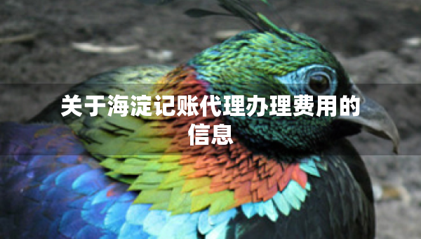 关于海淀记账代理办理费用的信息